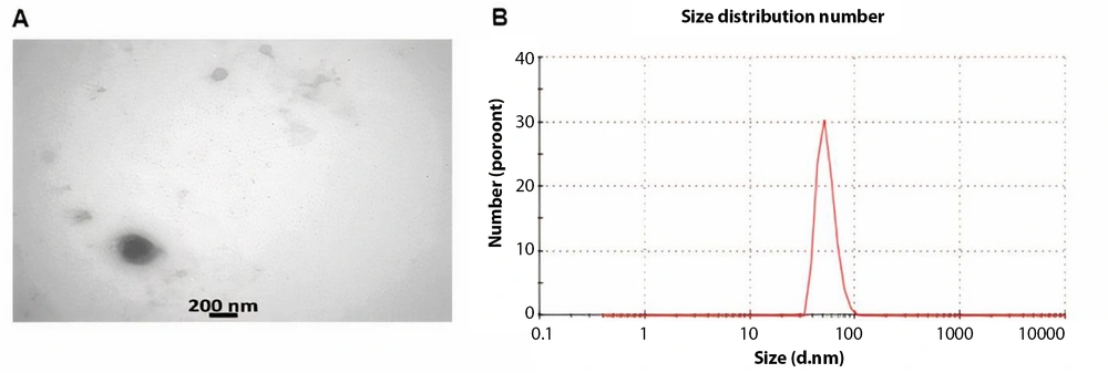 WJ-MSC-Exo characterization. (A) The shape and size of WJ-MSC-Exo were visualized by a TEM microscope (scale bar: 0.3 μm); (B) The size distribution of WJ-MSC-Exo was determined by the Malvern zeta sizer WJ-MSC-Exo characterization. (A) The shape and size of WJ-MSC-Exo were visualized by a TEM microscope (scale bar: 0.3 μm); (B) The size distribution of WJ-MSC-Exo was determined by the Malvern zeta sizer