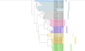 Cover image of the article: A Survey of HBV Core/Pre-Core Mutations in Iraqi Patients with Chronic Hepatitis