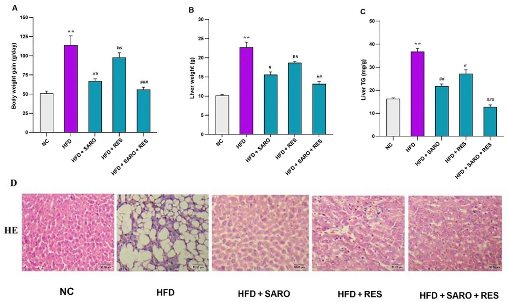 Effects of saroglitazar (SARO), resveratrol (RES), and the combination of RES and SARO on body weight (A); liver weight (B); and liver triglycerides (C) in rats after high-fat emulsion and drug administration; hematoxylin and eosin staining of liver tissue samples (D). The data values are presented as mean ± standard deviation (SD) (n = 8). Significant differences between HFD and NC (P < 0.05) are indicated by *, and significant differences between HFD and other groups are indicated by #P < 0.05, ##P < 0.01, and ###P < 0.001. NC, control group; HFD, high-fat diet; SARO, saroglitazar; RES, resveratrol. Effects of saroglitazar (SARO), resveratrol (RES), and the combination of RES and SARO on body weight (A); liver weight (B); and liver triglycerides (C) in rats after high-fat emulsion and drug administration; hematoxylin and eosin staining of liver tissue samples (D). The data values are presented as mean ± standard deviation (SD) (n = 8). Significant differences between HFD and NC (P < 0.05) are indicated by *, and significant differences between HFD and other groups are indicated by #P < 0.05, ##P < 0.01, and ###P < 0.001. NC, control group; HFD, high-fat diet; SARO, saroglitazar; RES, resveratrol.