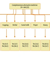 Treatment of Complementary and Alternative Medicine in Patients with Chronic Viral Hepatitis from Somalia