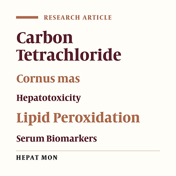 Protective Effect of Cornus mas Fruits Extract on Serum Biomarkers in CCl4-Induced Hepatotoxicity in Male Rats