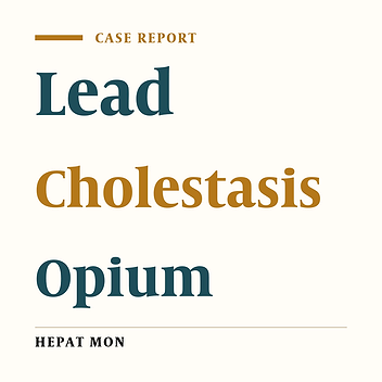 Cholestasis and Seizure Due to Lead Toxicity: A Case Report