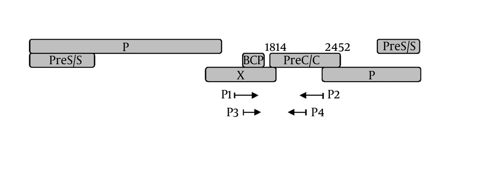 Schema of the PCR established to detect the mutations at basic core promoter (BCP), precore (PC) and partial core of HBV (BCP/PC/C). BCP region includes nt 1751-1769, Pre C/C region includes nt 1814-2452. Schema of the PCR established to detect the mutations at basic core promoter (BCP), precore (PC) and partial core of HBV (BCP/PC/C). BCP region includes nt 1751-1769, Pre C/C region includes nt 1814-2452.
