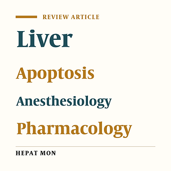 The Role of Anesthetic Drugs in Liver Apoptosis