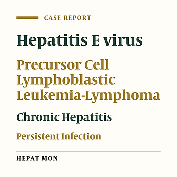 Persistent Hepatitis E Virus Genotype 4 Infection in a Child With Acute Lymphoblastic Leukemia