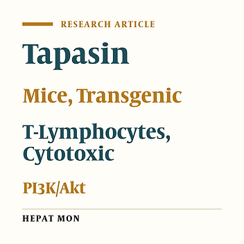 The Fusion Protein of CTP-HBcAg18-27-Tapasin Mediates the Apoptosis of CD8+T Cells and CD8+ T Cell Response in HLA-A2 Transgenic Mice