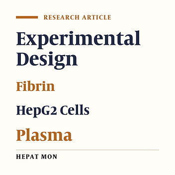 Optimization of Three Dimensional Culturing of the HepG2 Cell Line in Fibrin Scaffold