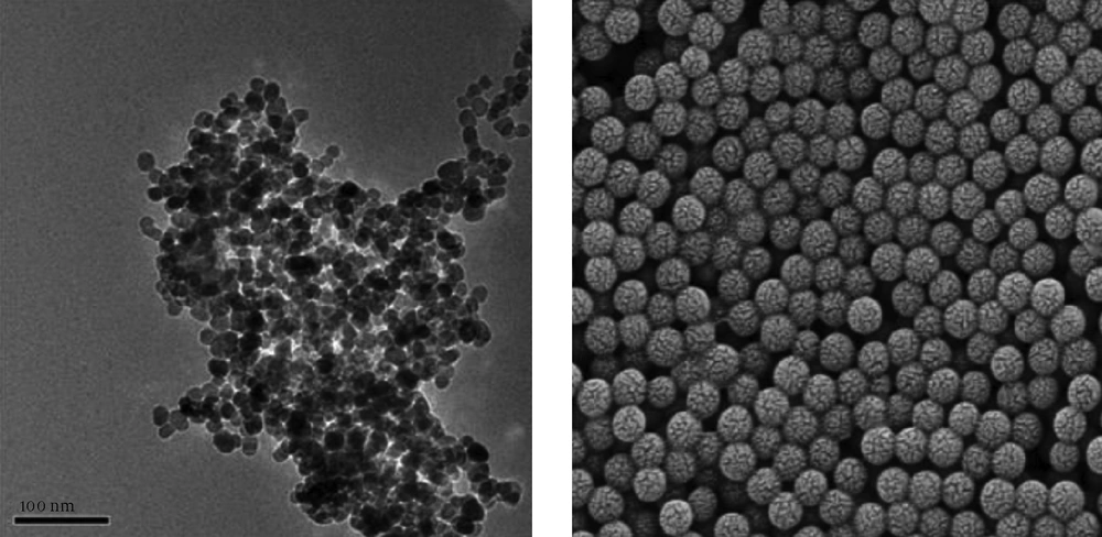 TEM Photograph of the Fe<sub>3</sub>O<sub>4</sub> Nanopowders (Left) and Silica-Coated Nanopowders (Right) Particle sizes of single-phase nanopowders (Fe<sub>3</sub>O<sub>4</sub>) were between 8 and 15 nm, average size was about 13.2 nm, and that of silica-coated nanoparticles ranged from 65 to 93 nm, its average size was about 84 nm. Surface modification of nanoparticles (silica-coated nanoparticles) could greatly reduce aggregation.