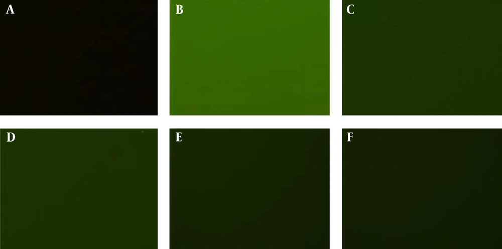 Fluorescence of the Supernatants Containing Different Concentrations of Nanoparticle Probes Hybridized With the Complementary FITC-Labeled Probes A, blank; B, control group; C, 200 pmol of probes; D, 150 pmol of probes, E; 100 pmol of probes; and F, 50 pmol of probes
