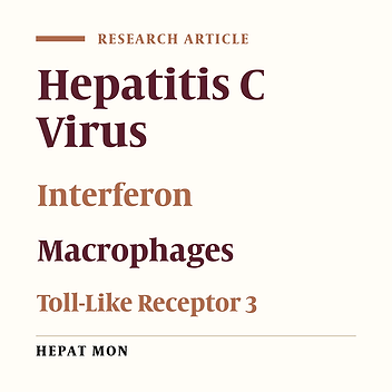 HCV dsRNA-Activated Macrophages Inhibit HCV Replication in Hepatocytes