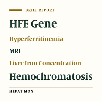 Liver Iron Concentration in Patients Referred to a Secondary Hospital for Hyperferritinemia: Analysis of the Different Groups According to HFE Mutations and the Transferrin Saturation Index