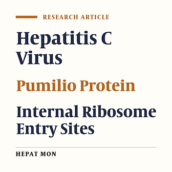Repression of the Internal Ribosome Entry Site-dependent Translation of Hepatitis C Virus by an Engineered PUF Protein