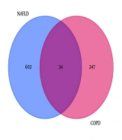 Screening and Validation of Key Genes Associated with Non-alcoholic Fatty Liver Disease and Chronic Obstructive Pulmonary Disease
