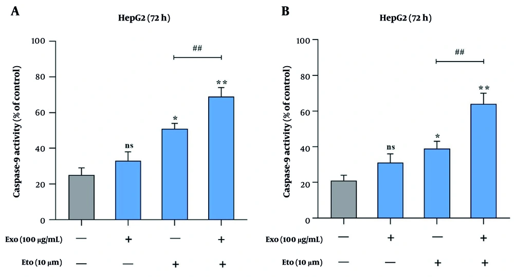 Caspase activity analysis in HepG2 cells following treatment with exosomes and etoposide (ETO). A, Caspase-9 activity levels in response to individual and combined treatments; B, caspase-3 activity levels under the same conditions. (* P < 0.05, ** P < 0.01 vs. control; ## P < 0.01, vs. ETO alone). Caspase activity analysis in HepG2 cells following treatment with exosomes and etoposide (ETO). A, Caspase-9 activity levels in response to individual and combined treatments; B, caspase-3 activity levels under the same conditions. (* P < 0.05, ** P < 0.01 vs. control; ## P < 0.01, vs. ETO alone).