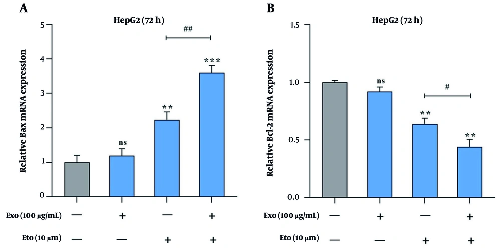 Effects of exosomes and etoposide (ETO) on the expression of apoptosis-associated genes in HepG2 cells. A, Relative expression of Bax in cells treated with exosomes, ETO, or their combination; B, relative expression of Bcl-2 under the same treatment conditions. (** P < 0.01, *** P < 0.001 vs. control; # P < 0.05, ## P < 0.01 vs. ETO alone). Effects of exosomes and etoposide (ETO) on the expression of apoptosis-associated genes in HepG2 cells. A, Relative expression of Bax in cells treated with exosomes, ETO, or their combination; B, relative expression of Bcl-2 under the same treatment conditions. (** P < 0.01, *** P < 0.001 vs. control; # P < 0.05, ## P < 0.01 vs. ETO alone).
