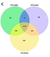 A Study on Serum Protein Tracking in Patients with Low Levels of HBsAg Undergoing Treatment for Chronic Hepatitis B with a Combination of Tenofovir Disoproxil Fumarate and Pegylated Interferon