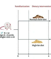 Hepatic LOX-1 Downregulation Is Associated with Metabolic Dysfunction-Associated Steatotic Liver Disease Improvement in High-Fat Diet-Fed Rats: Protective Role of Aerobic Exercise