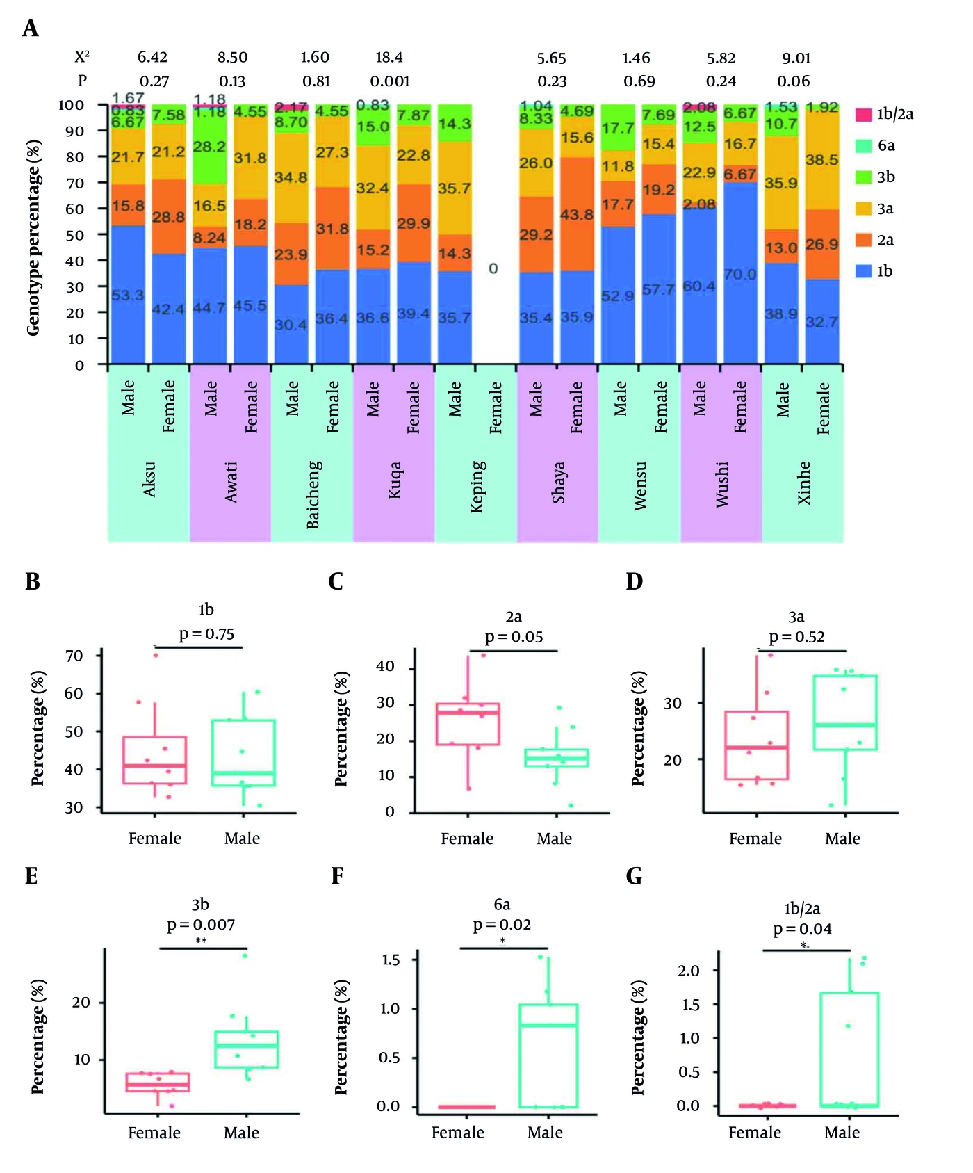 Hepatitis C virus (HCV) genotype composition by sex and region among HCV-RNA-positive patients. (A) Genotype percentages by sex within each region. In Panel A, the red category labeled “1b/2a” represents mixed-genotype results, comprising mixed 1b/2a (n = 4) and mixed 1b/3b (n = 1). (B–G) Exploratory comparisons of county-level percentages between female and male patients for genotypes 1b, 2a, 3a, 3b, 6a, and the mixed category, respectively. Nominal P values are shown in the figure for exploratory purposes and were not adjusted for multiple comparisons. Detailed counts are reported in Table S2 in the Supplementary File (Parts A–C). Hepatitis C virus (HCV) genotype composition by sex and region among HCV-RNA-positive patients. (A) Genotype percentages by sex within each region. In Panel A, the red category labeled “1b/2a” represents mixed-genotype results, comprising mixed 1b/2a (n = 4) and mixed 1b/3b (n = 1). (B–G) Exploratory comparisons of county-level percentages between female and male patients for genotypes 1b, 2a, 3a, 3b, 6a, and the mixed category, respectively. Nominal P values are shown in the figure for exploratory purposes and were not adjusted for multiple comparisons. Detailed counts are reported in Table S2 in the Supplementary File (Parts A–C).