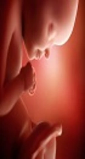 Influential Factors of Hepatitis B Virus cccDNA in Peripheral Blood Mononuclear Cells Among HBsAg-Positive Pregnant Females Neonates