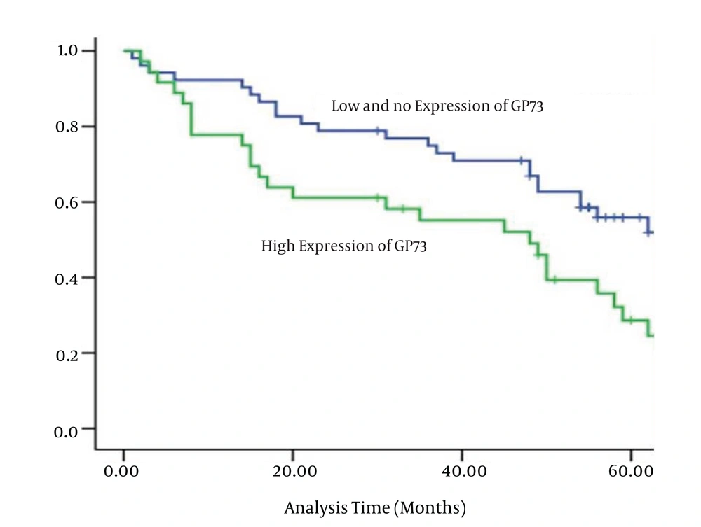 Survival Curves of HCC Patients Postoperatively The survival curves of 88 patients with hepatocellular carcinoma were created according to hepatic GP73 expression using the Kaplan-Meier method. The green line is the high GP73 expression group, and the blue line is the low- or no-GP73 expression group.