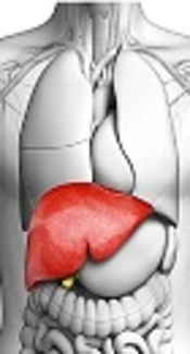 Annual Change in FIB-4, but not in APRI, was a Strong Predictor for Liver Disease Progression in Chinese Patients with Chronic Hepatitis C