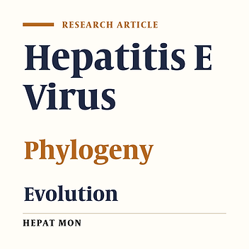 Hepatitis E Virus Circulation in Italy: Phylogenetic and Evolutionary Analysis