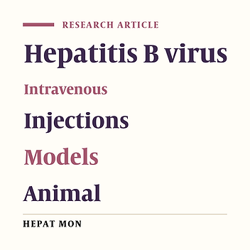 A Novel Hydrodynamic Injection Mouse Model of HBV Genotype C for the Study of HBV Biology and the Anti-Viral Activity of Lamivudine