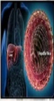 Serum Levels of Interleukin-4, Interleukin-10 and Interferon-γ in Patients with Chronic Hepatitis B Infection