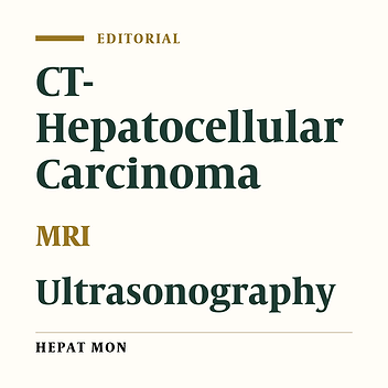 Advances and New Horizons in Imaging Diagnostic Techniques of HCC