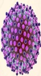 Hepatitis C Virus - Related Hepatocellular Carcinoma in the Era of Direct - Acting Antiviral Agents