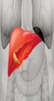 Association Between Four <i>ABCA1</i> gene Polymorphisms and Risk of Non-Alcoholic Fatty Liver Disease in a Chinese Han Population