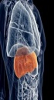 Cover image of the article: How Adequate Social Media Management Supports the Viral Hepatitis Elimination Program