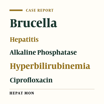 Acute Brucella Hepatitis in an Urban Patient