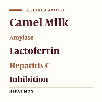 Potential Activity of Camel Milk-Amylase and Lactoferrin against Hepatitis C Virus Infectivity in HepG2 and Lymphocytes