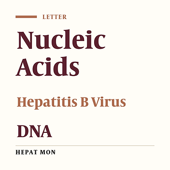 Nucleic Acid Testing for the Detection of HBV DNA