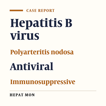 High Hepatitis B Virus Load in a Patient with Severe Polyarthritis Nodosa