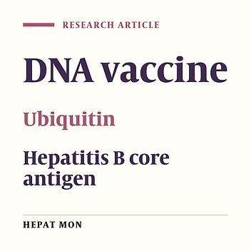 Ubiquitin Conjugation of Hepatitis B Virus Core Antigen DNA Vaccine Leads to Enhanced Cell-Mediated Immune Response in BALB/c Mice