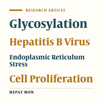 The N-Glycosylation Modification of LHBs (Large Surface Proteins of HBV) Effects on Endoplasmic Reticulum Stress, Cell Proliferation and its Secretion