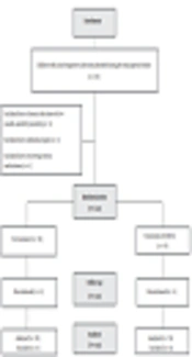Alleviating Effects of Ursodeoxycholic Acid in Children with Acute Hepatitis A Infection: A Randomized Clinical Trial