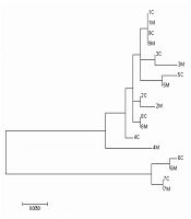 Deep Sequencing Reveals the Characteristics of Hepatitis B Virus (HBV) S Region in Vertical Transmission and the Influence of Mutations on Vaccination Failure
