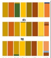 Comparative Phylogenetic and Residue Analysis of Hepatitis C Virus E1 Protein from the Middle East and North Africa Region