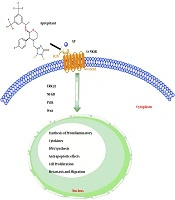 Cover image of the article: The Role of Tachykinins in the Initiation and Progression of Gastrointestinal Cancers: A Review