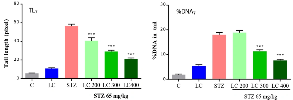 ozempic and l carnitine Carnitine supplementation improves insulin sensitivity and skeletal muscle  acetylcarnitine formation in patients with type 2 diabetes - Op den  Kamp‐Bruls - 2025 - Diabetes, Obesity and Metabolism