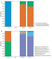 Archaeome in Colorectal Cancer: High Abundance of Methanogenic Archaea in Colorectal Cancer Patients