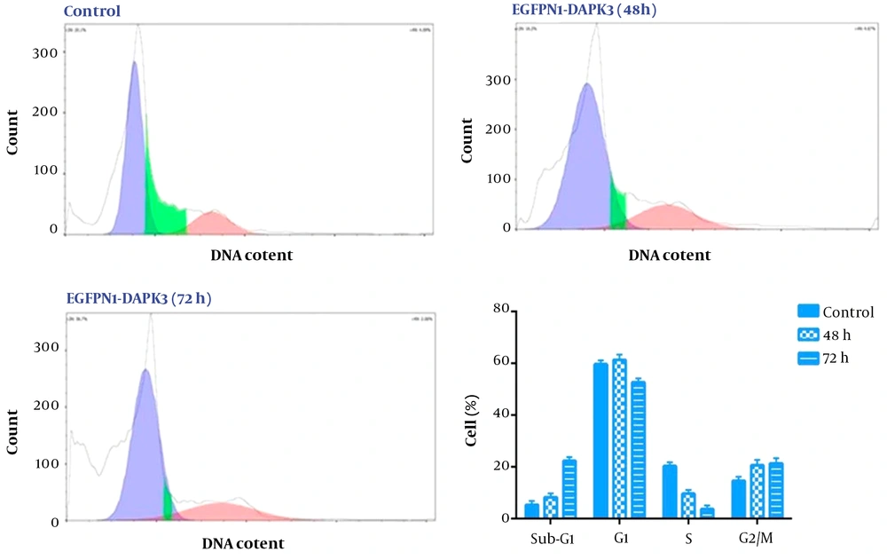The effect of death-associated protein kinase 3 (DAPK3) overexpression on the distribution of MKN-45 cells in different phases of the cell cycle. Our results revealed that DAPK3 overexpression could induce G2/M arrest in MKN45 cells 72 hours after transfection. Values are given from 3 independent experiments of 5 × 10<sup>3</sup> cells. The effect of death-associated protein kinase 3 (DAPK3) overexpression on the distribution of MKN-45 cells in different phases of the cell cycle. Our results revealed that DAPK3 overexpression could induce G2/M arrest in MKN45 cells 72 hours after transfection. Values are given from 3 independent experiments of 5 × 10<sup>3</sup> cells.
