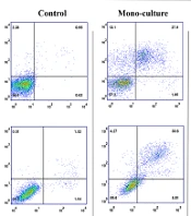Panobinostat, a Pan-HDAC Inhibitor, Substantially Decreases the Quiescent Population of Leukemic Cells either in Monoculture or in Co-culture with Bone Marrow Stromal Cells.