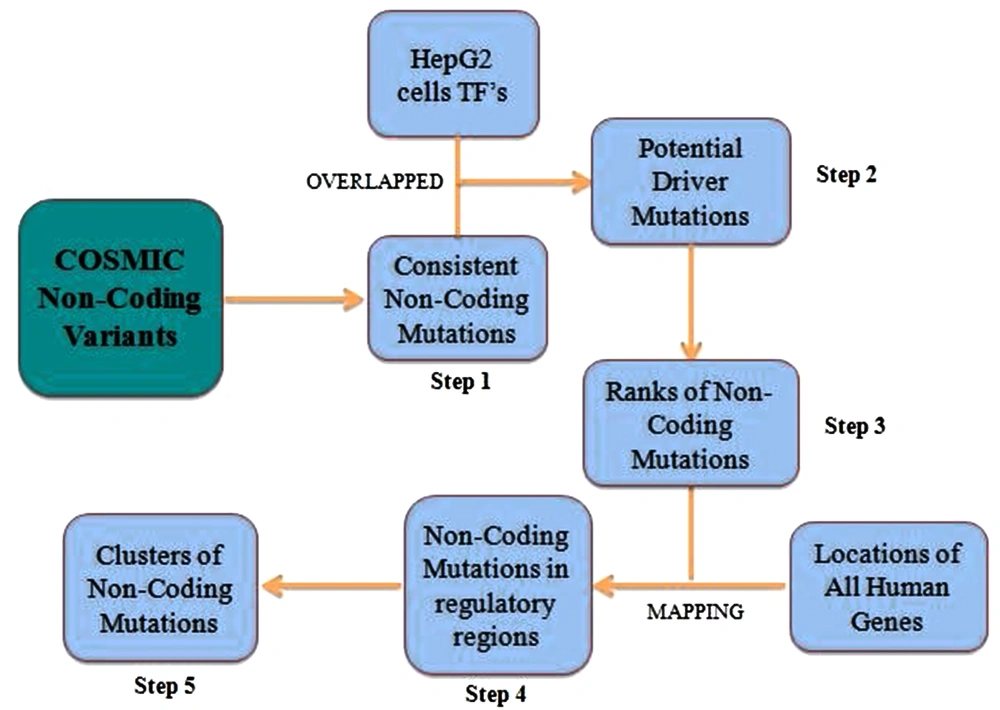 Schematic diagram of the methodology followed for analysis of non-coding mutations. The arrows represent the final results. The lines represent files used for the corresponding operations. TF, transcription factors. Schematic diagram of the methodology followed for analysis of non-coding mutations. The arrows represent the final results. The lines represent files used for the corresponding operations. TF, transcription factors.