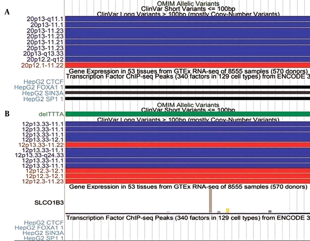 Graphical profiles of significant mutations (A) Represents mutation 20:17859269-17859269, (B) Represents mutation 12:20815732-20815732. The red bars and blue bars in clinical variants represent copy number and gain. The green bar in ‘ClinVar Short Variant represents a benign clinical variant. Graphical profiles of significant mutations (A) Represents mutation 20:17859269-17859269, (B) Represents mutation 12:20815732-20815732. The red bars and blue bars in clinical variants represent copy number and gain. The green bar in ‘ClinVar Short Variant represents a benign clinical variant.