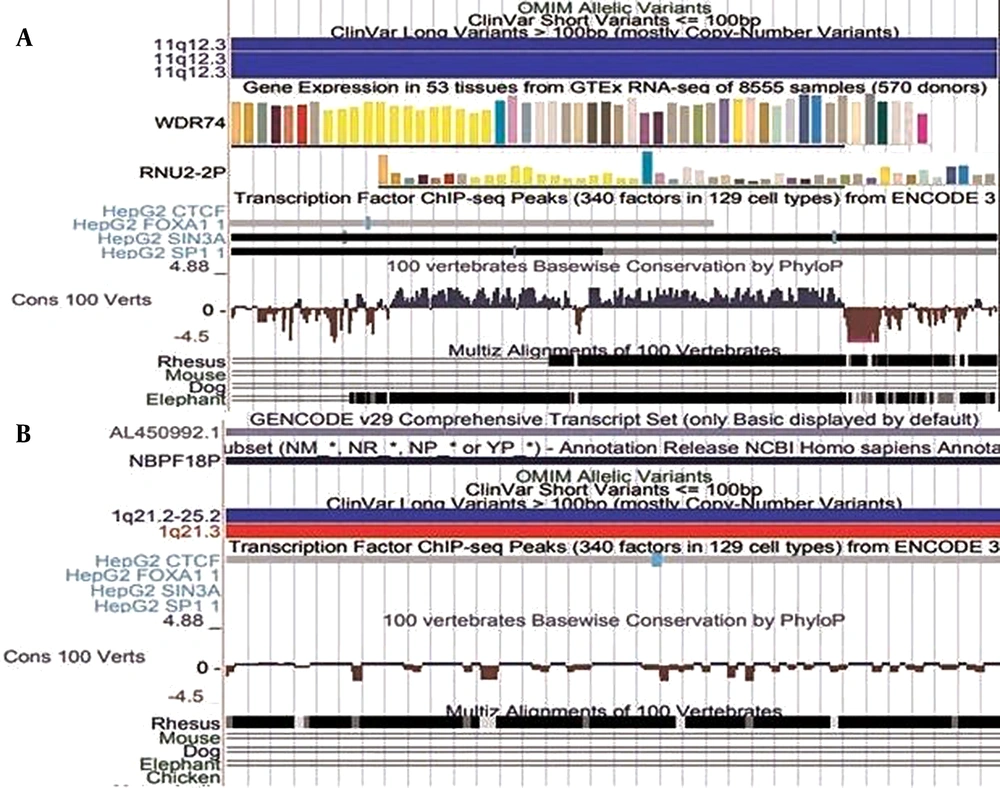 Graphical profiles of significant clusters (A) Represents cluster 11:62841559-62841872, (B) Represents cluster 1:152018685-152018775. The Gencode v29 track displays basic genes present close to the given cluster. The Conservation tracks ‘Cons 100 Verts’ track and ‘Multiz Alignment of 100 vertebrates’ display regions that are conserved in multiple species in condensed form. Graphical profiles of significant clusters (A) Represents cluster 11:62841559-62841872, (B) Represents cluster 1:152018685-152018775. The Gencode v29 track displays basic genes present close to the given cluster. The Conservation tracks ‘Cons 100 Verts’ track and ‘Multiz Alignment of 100 vertebrates’ display regions that are conserved in multiple species in condensed form.
