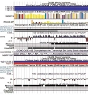 Cover image of the article: Identification of Liver Cancer Driver Mutations from COSMIC Data